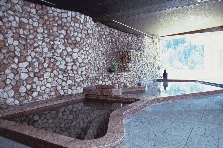 Wellness Treatments