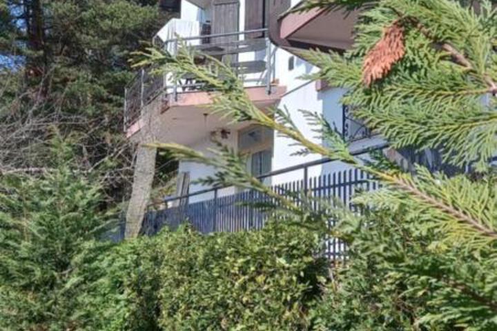 Photo 9
