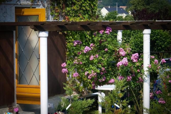 Terrace/Patio 104 of 164