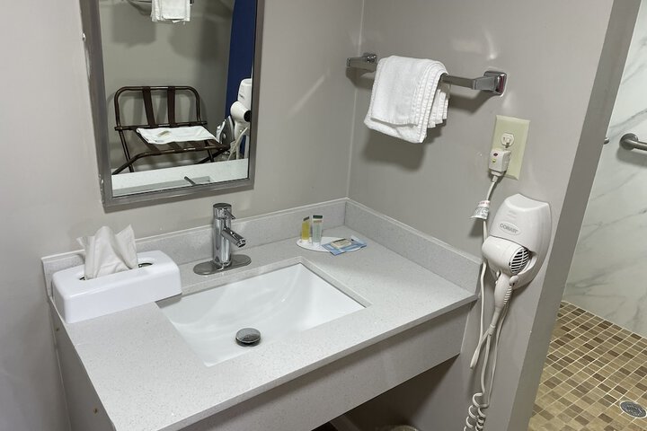 1 King Bed Accessible (30 of 39)