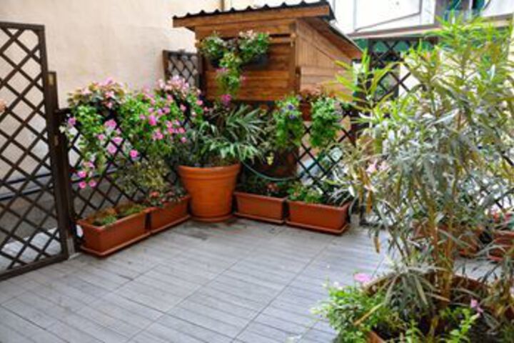 Terrace/Patio 50 of 51