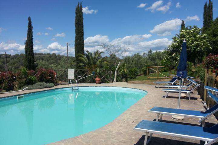 Pool 45 of 50