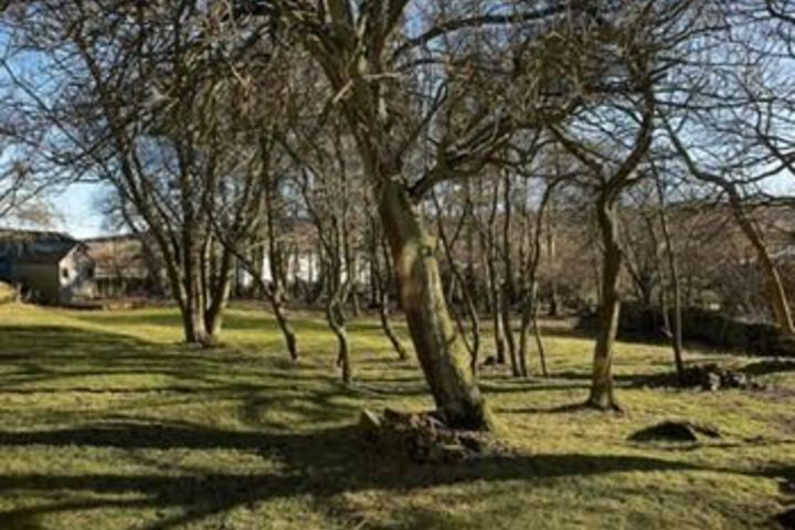 Property Grounds 13 of 14