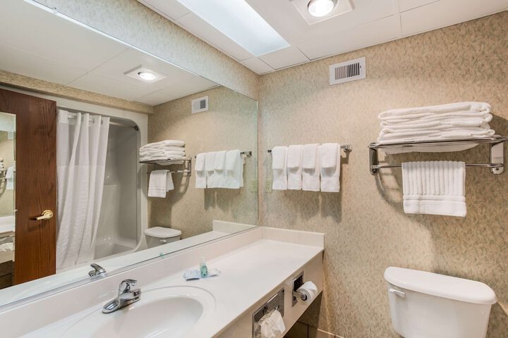 1 Queen Bed Accessible Room (4 of 10)