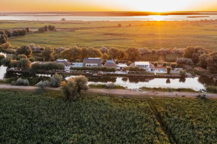 Image of WPO - WILD PIKE OASIS