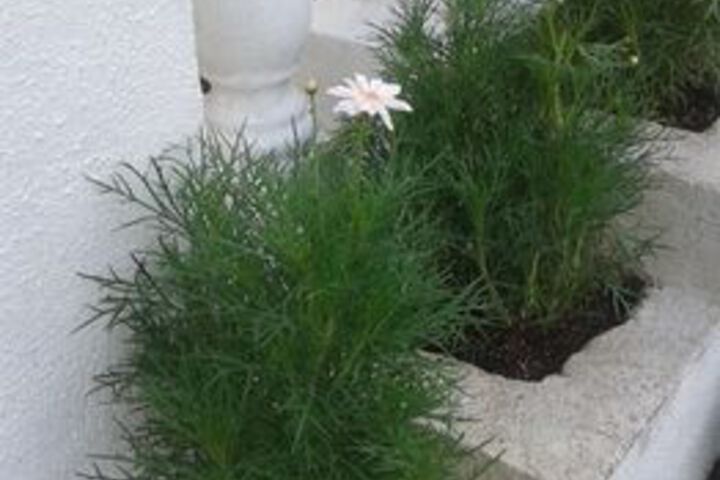 Property Grounds 19 of 21