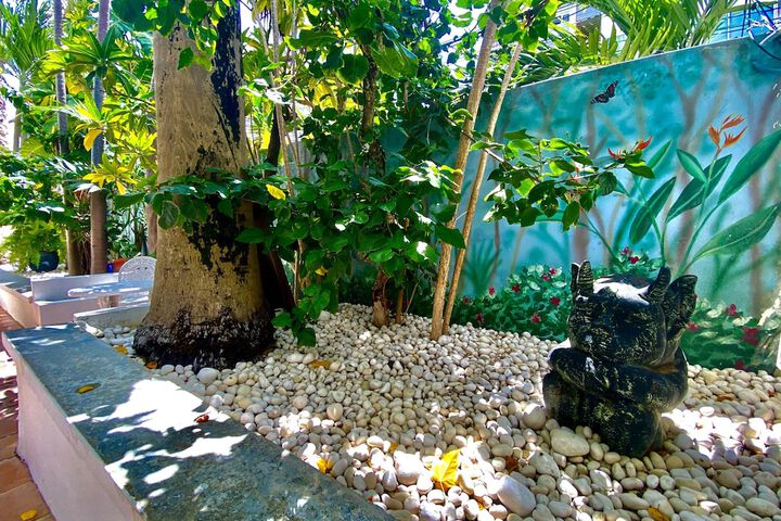 Garden view