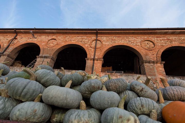 Agriturismo Arte Contadina in Fiorenzuola d'Arda