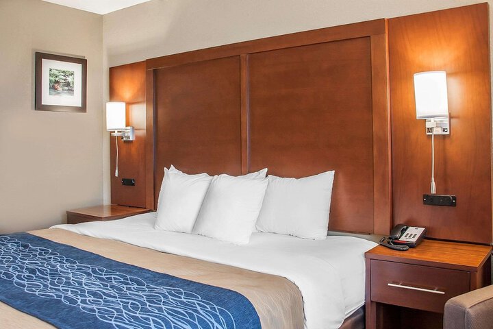1 King Bed (8 of 9)