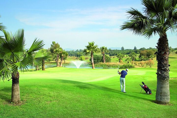 Golf 36 of 88