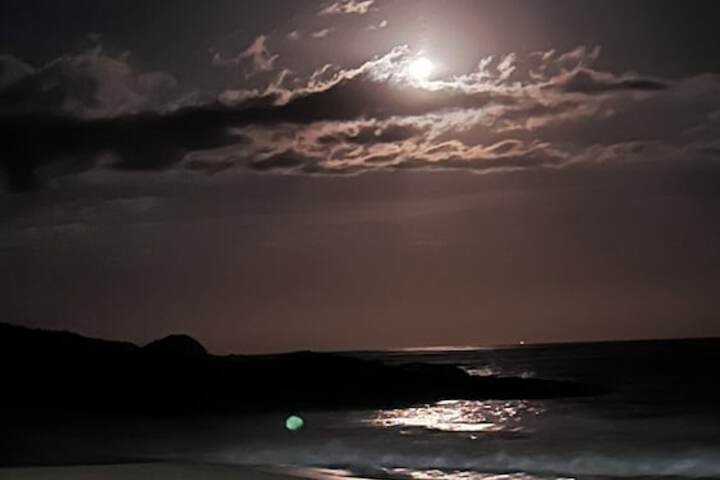 Beach 111 of 159