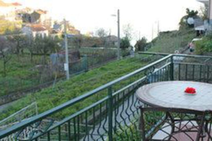 Terrace/Patio 247 of 256