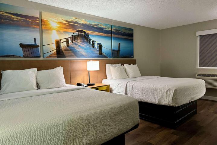 1 King Bed Mobility Hearing Impaired Accessible Room Roll in Shower (2 of 13)
