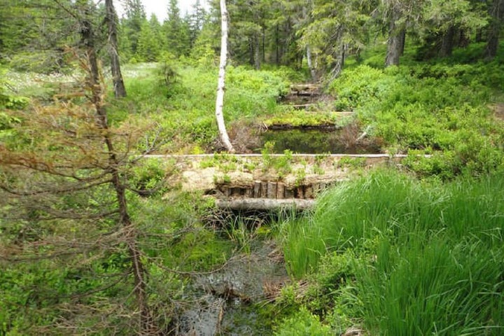 Property Grounds 43 of 62