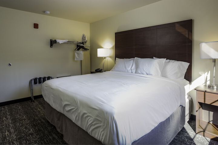 Suite Accessible King Size Bed (1 of 11)