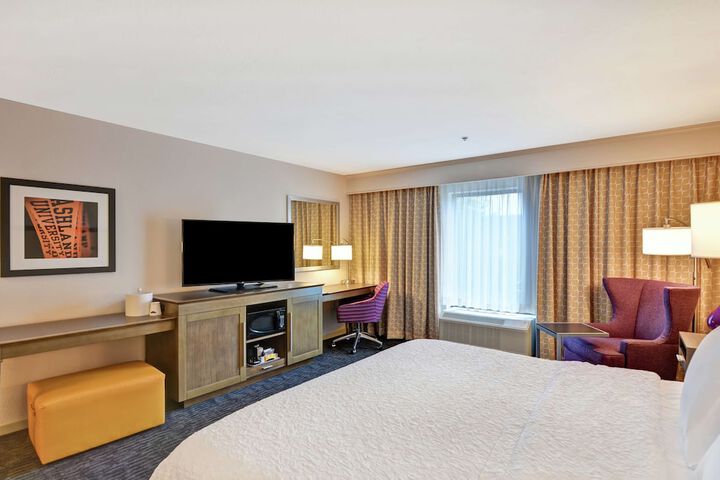 1 King with Sofa Bed Microwave, Refrigerator (7 of 32)