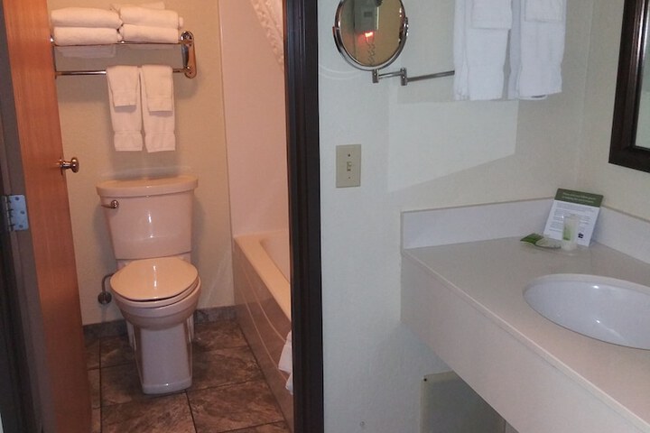1 King Bed Studio Suite (1 of 4)