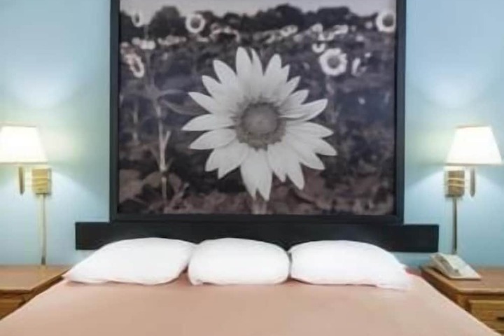 1 King Bed (8 of 10)