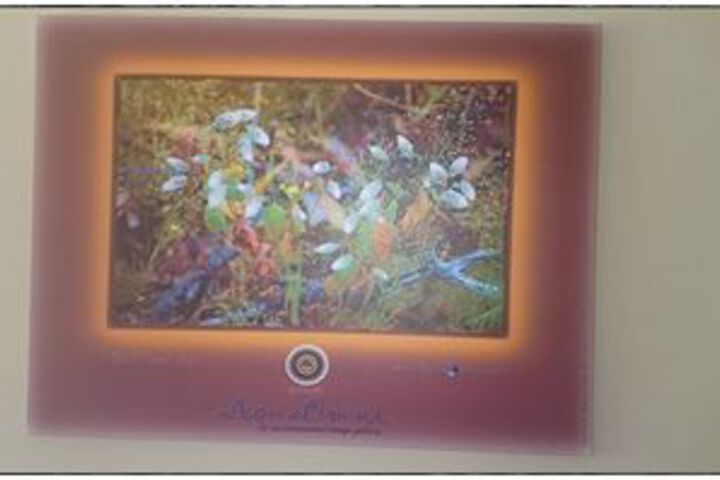 Hotel Interior 40 of 62