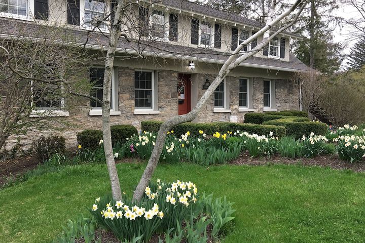 Property image 4