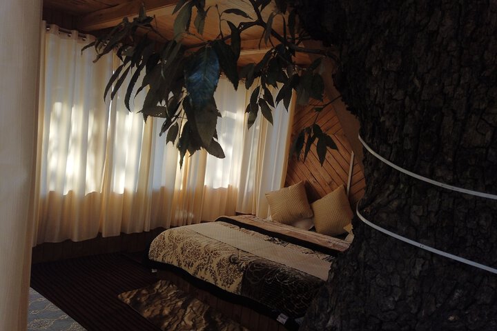 Room 11 of 34