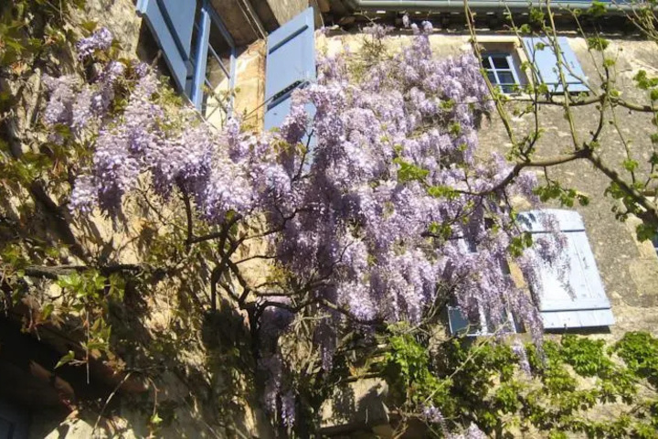 LA MAISON DHO TES CHEZ DELPHINE