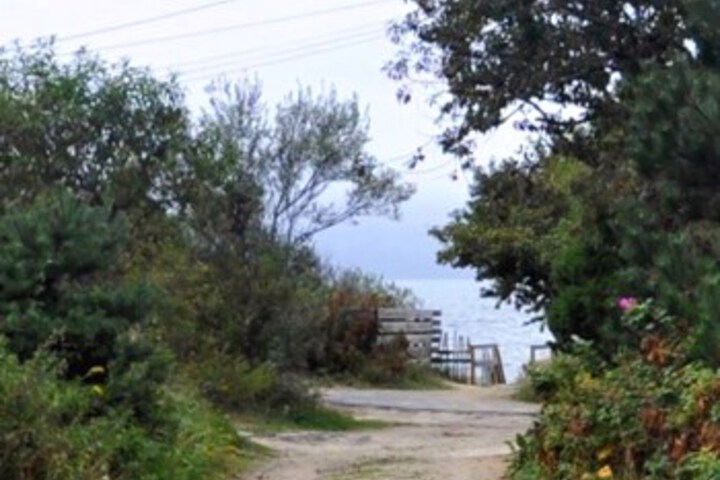 Property Grounds 18 of 21