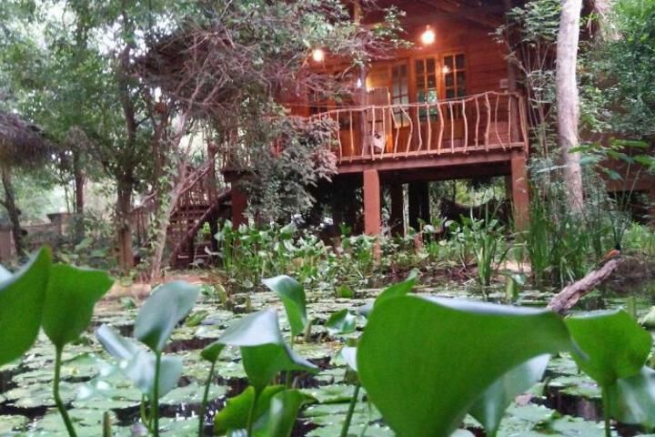 General 24 of 50