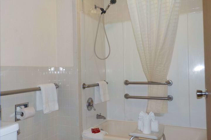 1 Queen Accessible Roll in Shower Desk Microwave, Refrigerator WiFi Continentalbreakfas (4 of 20)