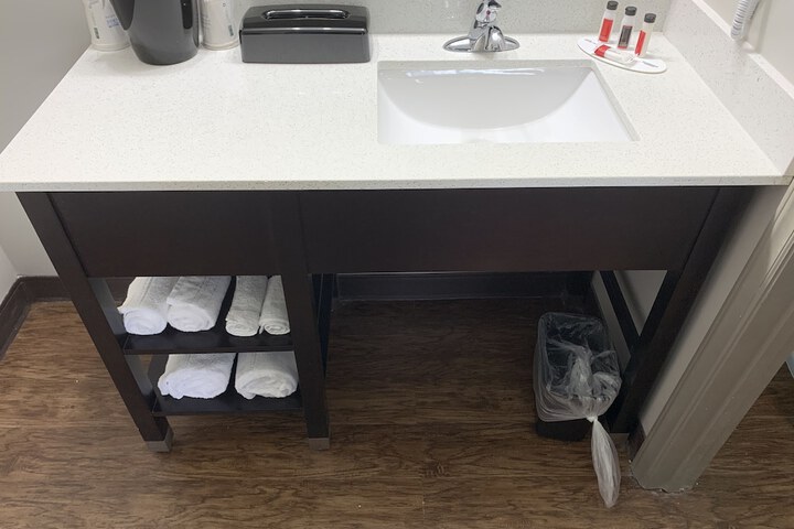 1 King Bed Mobility Hearing Accessible Room Roll in Shower (1 of 17)