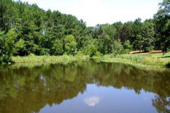 Property Grounds 16 of 23