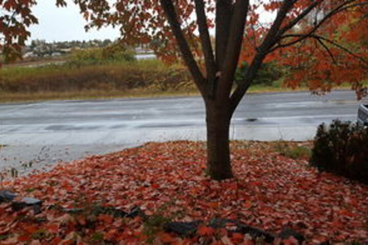 Hotel View 106 of 126