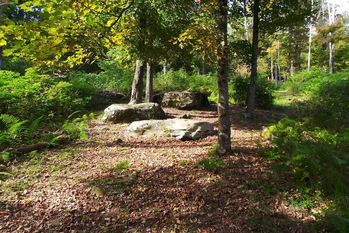 Property Grounds 237 of 246