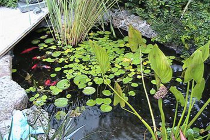 Hotel Exterior 14 of 50