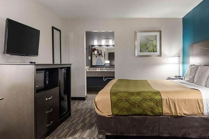 Single Room 1 King Bed (4 of 5)