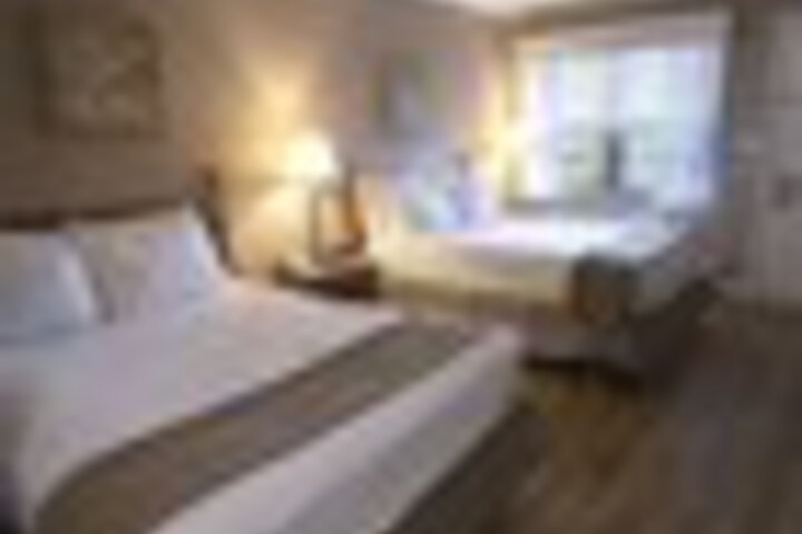 Room 50 of 168