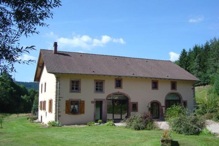 Grande Ferme Rénovée avec Jardin Terrasse et Sentiers à Proximité - Vosges - FR-1-589-232