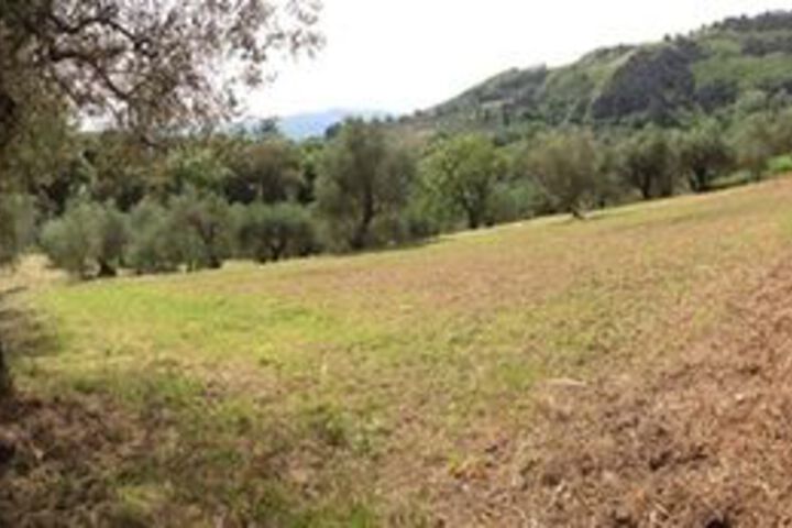 Property Grounds 49 of 53