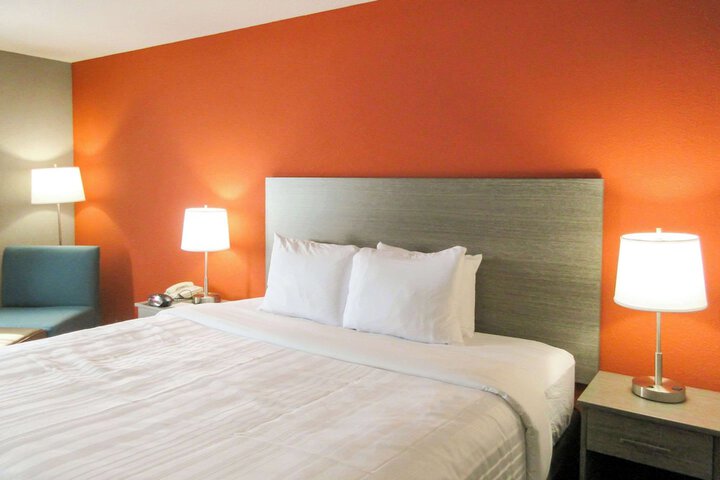 1 King Bed (9 of 12)