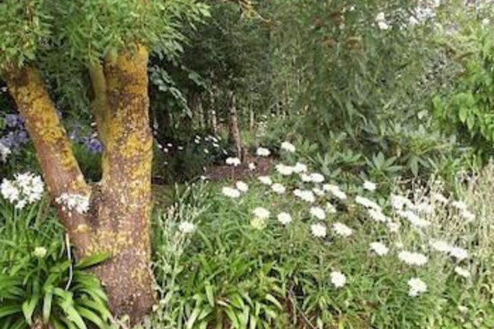 Hotel Exterior 8 of 19