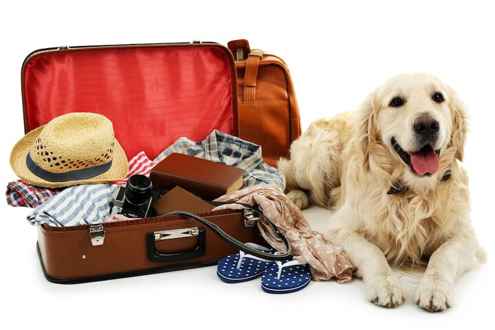 Pet-friendly
