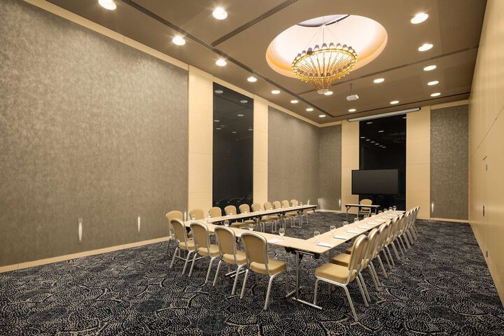 Meeting 43 of 55
