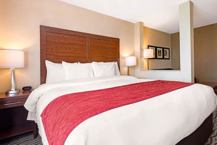 1 King Bed (2 of 11)
