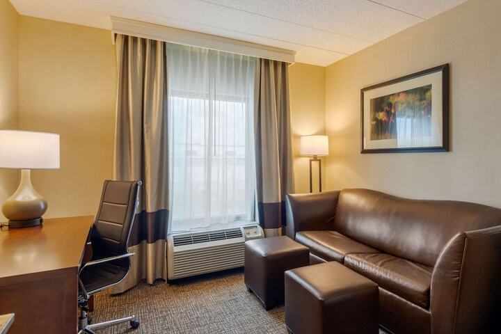 2 Queen Beds 2 Person Sofa Bed (3 of 8)