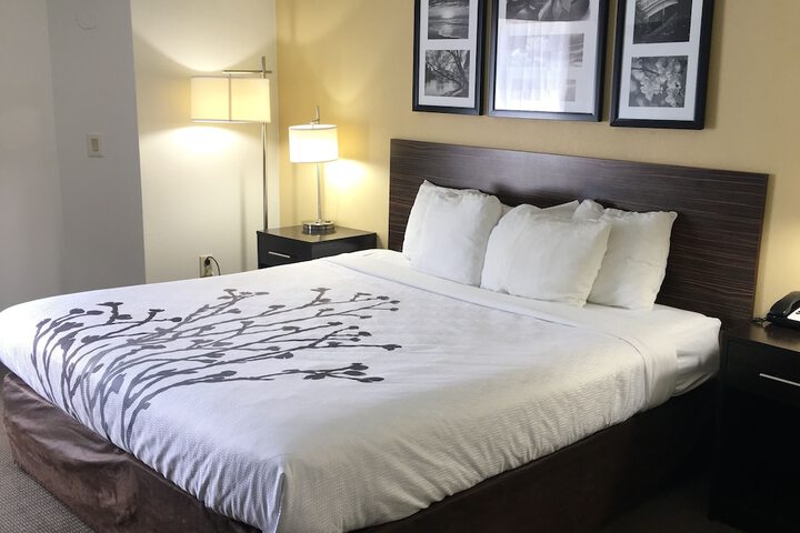 1 King Bed (10 of 11)