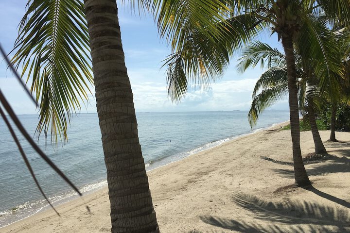 Beach 47 of 63