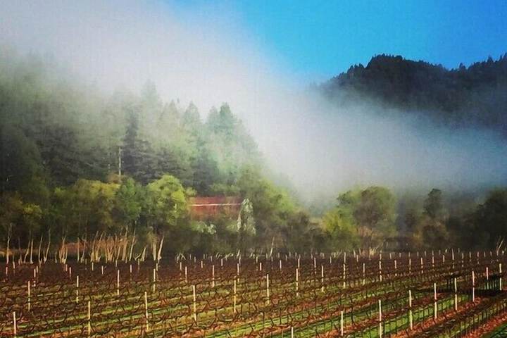 Terrace/Patio 83 of 86