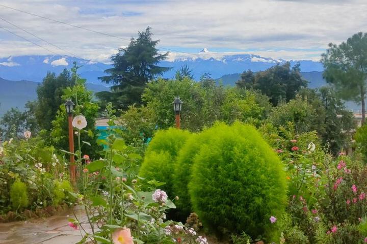 Property image 5