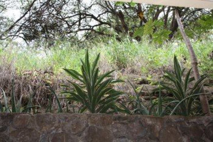 Hotel Exterior 10 of 103