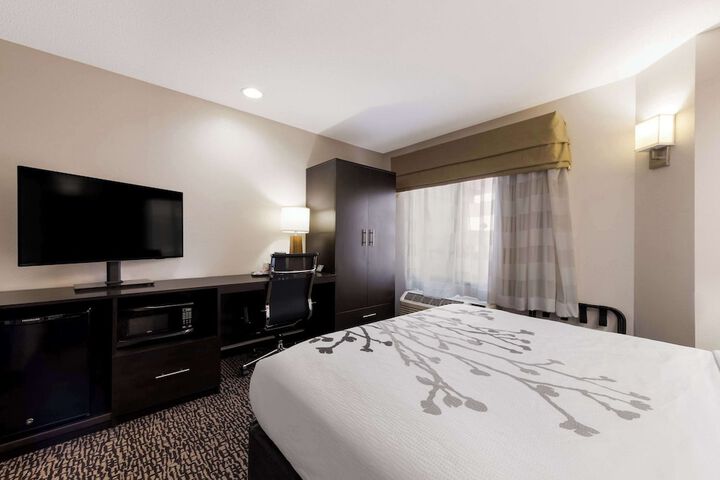 1 Queen Bed (14 of 18)